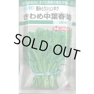 画像: 送料無料　[春菊]　摘みとりシュンギク　きわめ中葉春菊　90ml　タキイ種苗　GF