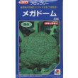 画像1: 送料無料　[ブロッコリー]　メガドーム　5000粒　ペレット種子　タキイ種苗(株) (1)