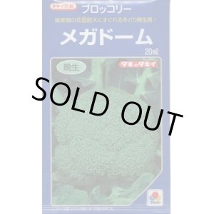 画像: [ブロッコリー]　送料無料！　メガドーム　5000粒　ペレット種子　タキイ種苗（株）