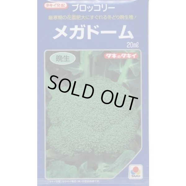 画像1: 送料無料　[ブロッコリー]　メガドーム　5000粒　ペレット種子　タキイ種苗(株) (1)