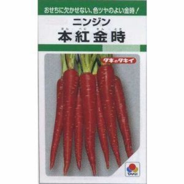 画像2: [シーダー種子]　人参　本紅金時　1粒×6cm間隔 (2)