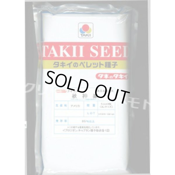 画像1: [大根]　秋神楽　ペレット3L5000粒　タキイ種苗(株) (1)