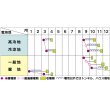 画像4: [ほうれんそう]　ドンキー　100ml （約4000粒）　サカタのタネ（株）　実咲PRO (4)