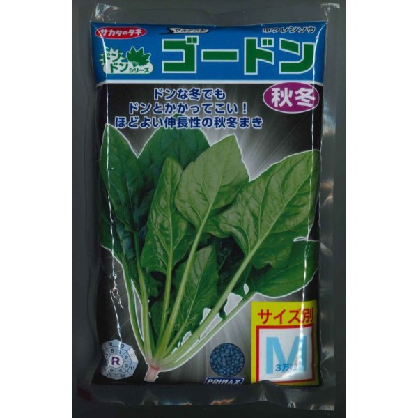 画像1: [ほうれんそう]　ゴードン　種子サイズ：M　3万粒　（株）サカタのタネ (1)