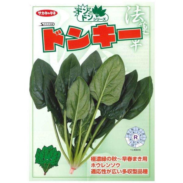 画像2: [ほうれんそう]　ドンキー　種子サイズ：M　3万粒　（株）サカタのタネ (2)