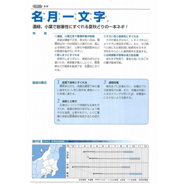 画像3: [ねぎ]　名月一文字　コート種子　2L　5000粒　タキイ種苗（株） (3)