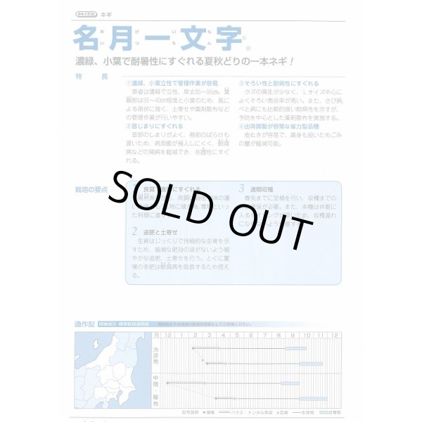 画像3: 送料無料 [ねぎ] 名月一文字 ペレット種子 2L 5000粒 タキイ種苗(株) (3)