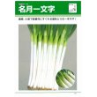 画像2: [ねぎ]　名月一文字　コート種子　2L　5000粒　タキイ種苗（株） (2)