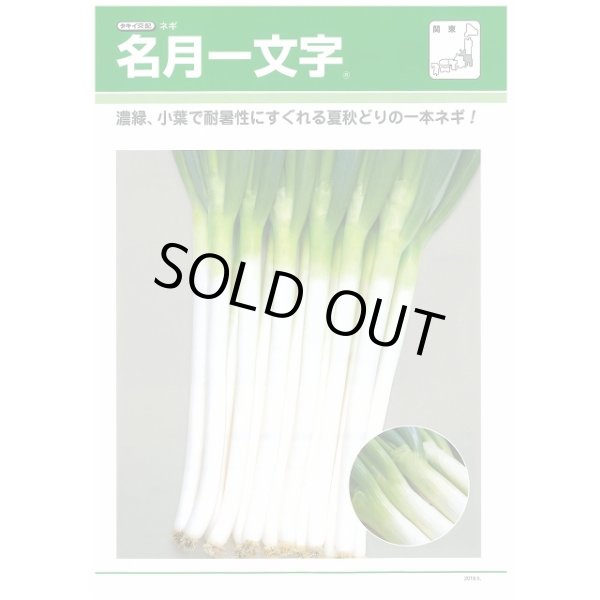 画像2: 送料無料 [ねぎ] 名月一文字 ペレット種子 2L 5000粒 タキイ種苗(株) (2)