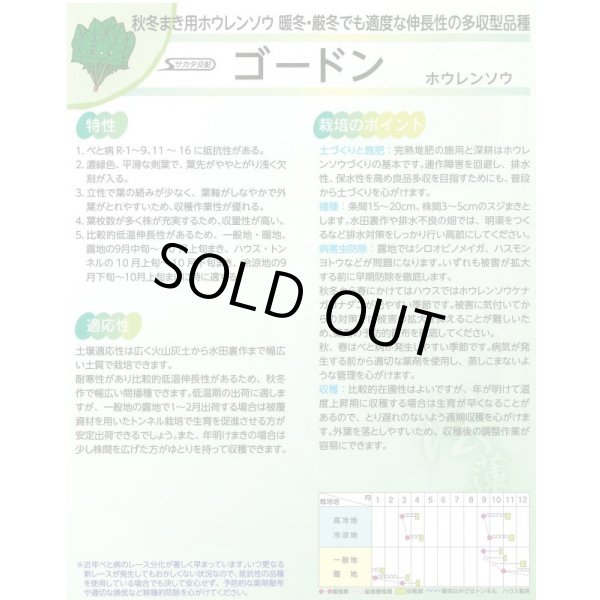 画像3: 送料無料　[ほうれんそう]　ゴードン　100ml　(およそ5500粒)　(株)サカタのタネ　実咲PRO（101532） (3)