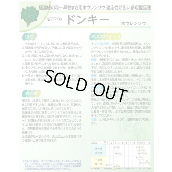 画像3: 送料無料　[ほうれんそう]　ドンキー　100ml　(約4000粒)　(株)サカタのタネ　実咲PRO (3)