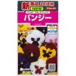 画像1: 花の種　パンジー　パシオ　ブロッチミックス　約34粒　　サカタのタネ（株）実咲350 (1)