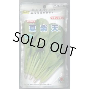 画像: 送料無料 [小松菜] 夏楽天 2dl タキイ種苗(株)
