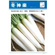 画像2: [大根]　冬神楽　ペレット種子　3L　5000粒　タキイ種苗(株) (2)
