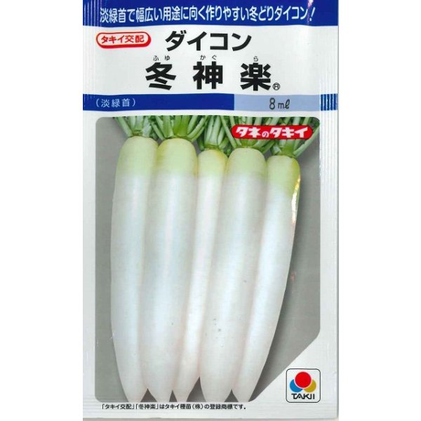 画像1: 送料無料　[大根]　冬神楽　7ml　タキイ種苗(株)　DF (1)
