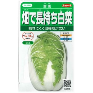 画像: 送料無料　[白菜]　富風　1.9ml　　(株)サカタのタネ　実咲450（002934）