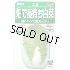 画像: [白菜]　富風　1.9ml　実咲　サカタ交配