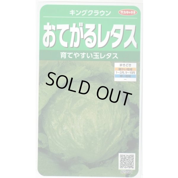画像1: 送料無料　[レタス]　キングクラウン　約550粒　(株)サカタのタネ　実咲350（003025） (1)