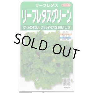 画像: 送料無料　[レタス]　リーフレタス　グリーン　約1200粒　(株)サカタのタネ　実咲350（003033）