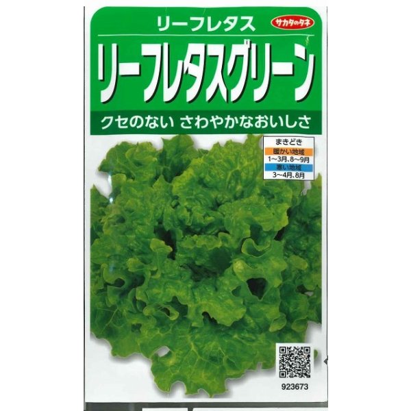 画像1: 送料無料　[レタス]　リーフレタス　グリーン　約1200粒　(株)サカタのタネ　実咲350（003033） (1)
