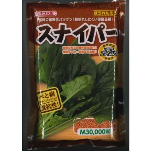 画像: [ほうれんそう]　スナイパー　Ｍサイズ　3万粒　カネコ種苗（株）