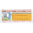 画像4: [キャベツ]　春のかほりSP   2000粒　　タキイ種苗（株） (4)