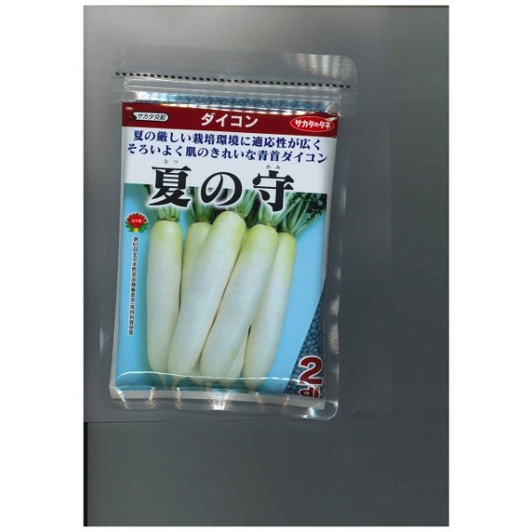 画像1: 送料無料　[大根]　夏の守　8000粒　(株)サカタのタネ (1)