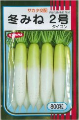 画像: 送料無料 大根 冬みね2号 800粒 (株)サカタのタネ