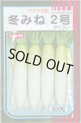 画像: 送料無料　大根　冬みね2号　800粒　(株)サカタのタネ