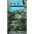 画像1: 送料無料　花の種　初雪草　氷河(ひょうが)　1袋(約50粒)　タキイ種苗 (1)