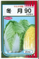 画像: 送料無料 [白菜] 冬月90 20ml （株）サカタのタネ