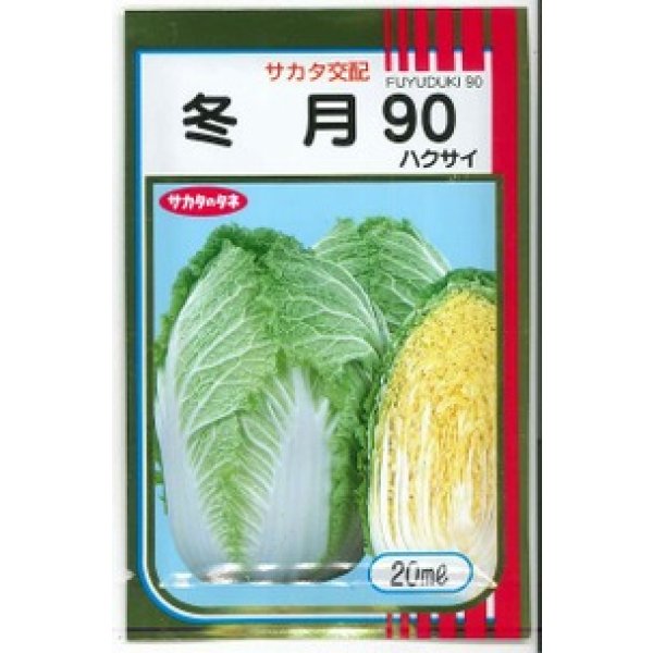 画像1: [白菜] 冬月90 20ml （株）サカタのタネ (1)