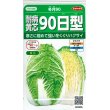 画像1: [白菜]　耐病黄芯90日型（冬月90）　約130粒　サカタ交配　実咲 (1)