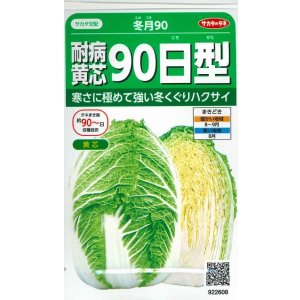 画像: 送料無料　[白菜]　耐病黄芯90日型(冬月90)　約130粒　(株)サカタのタネ　実咲450（002937）