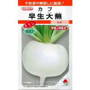 画像: 送料無料　[かぶ]　早生大蕪　小袋　3.5ml　タキイ種苗(株)　RF