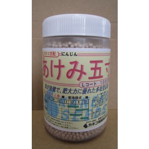 画像: [人参]　あけみ五寸　1万粒　L　サイズ　ペレット種子　カネコ種苗（株）