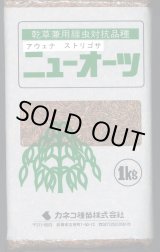 画像: [緑肥]　ニューオーツ(アウェナストリゴサ)　1kg　カネコ種苗(株)