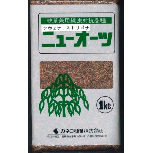 画像: [緑肥]　ニューオーツ（アウェナストリゴサ）　1kg 　カネコ種苗（株）