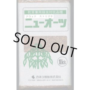 画像: [緑肥]　ニューオーツ(アウェナストリゴサ)　1kg　カネコ種苗(株)