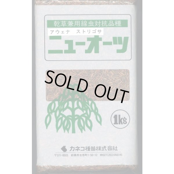 画像1: [緑肥]　ニューオーツ(アウェナストリゴサ)　1kg　カネコ種苗(株) (1)