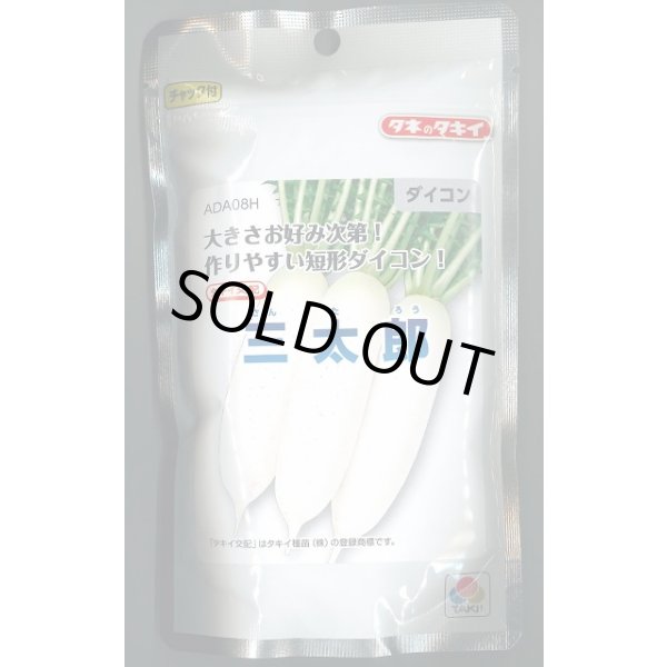 画像1: 送料無料 [大根] 三太郎 2dl タキイ種苗(株) (1)