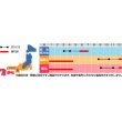 画像2: 花の種　　景観用　　菜の花　寒咲系混合　約5平米用　サカタのタネ（株）実咲350 (2)