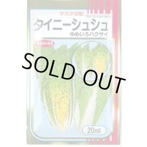 画像: [白菜]　タイニーシュシュ　20ｍｌ　サカタのタネ（株）　