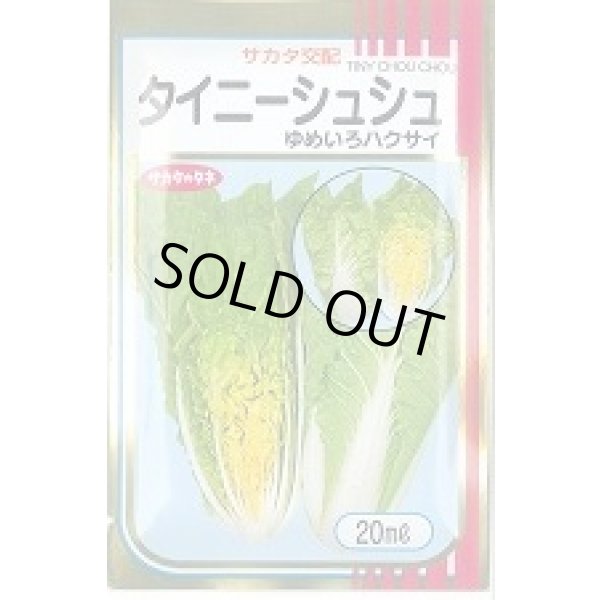 画像1: 送料無料　[白菜]　タイニーシュシュ　20ml　（株）サカタのタネ (1)