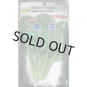 画像: [小松菜] 楽天 2dl タキイ種苗(株)