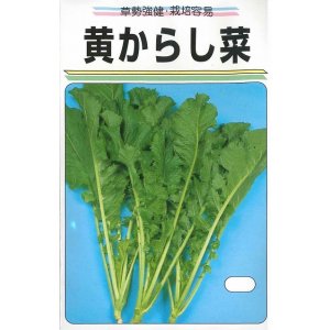 画像: 送料無料　黄からし菜　20ml