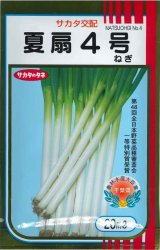 画像: 送料無料　[ねぎ]　夏扇4号　20ml　(裸種子)　(株)サカタのタネ
