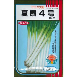 画像: [ねぎ]　夏扇4号　20ml （裸種子）　（株）サカタのタネ