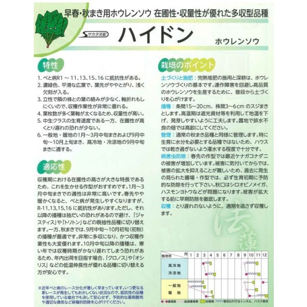 画像3: [ほうれんそう] ハイドン 種子サイズ：M 3万粒 （株）サカタのタネ (3)