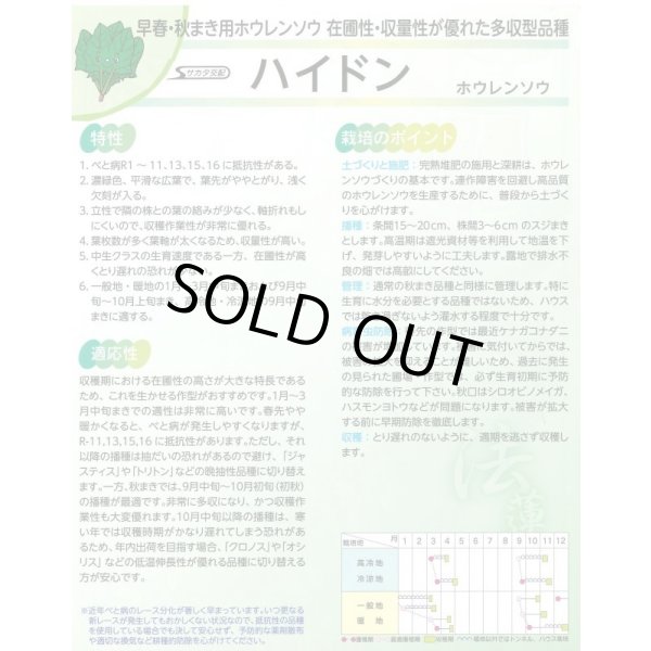 画像3: 送料無料　[ほうれんそう]　ハイドン　100ml　(約4000粒)(株)サカタのタネ　実咲PRO（003953） (3)